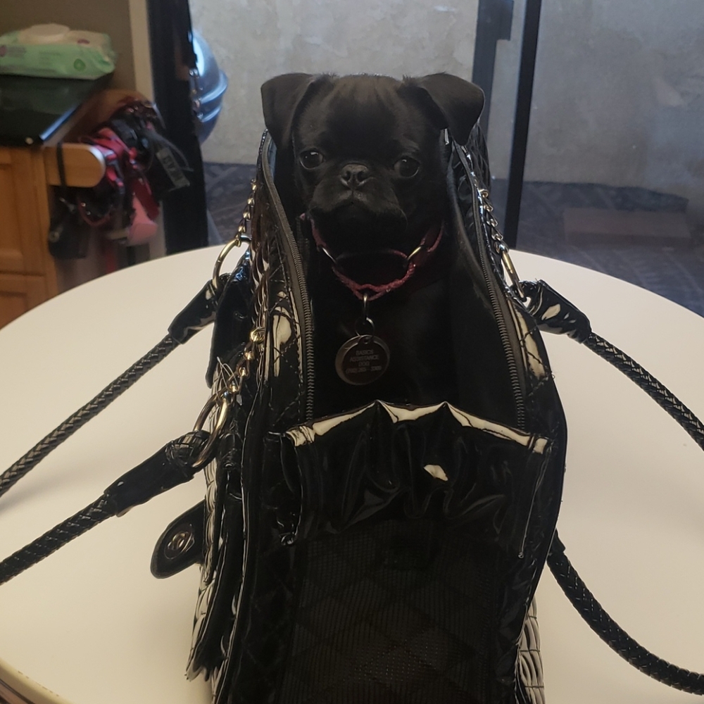 COPY - NWOT Coco pet carrier
